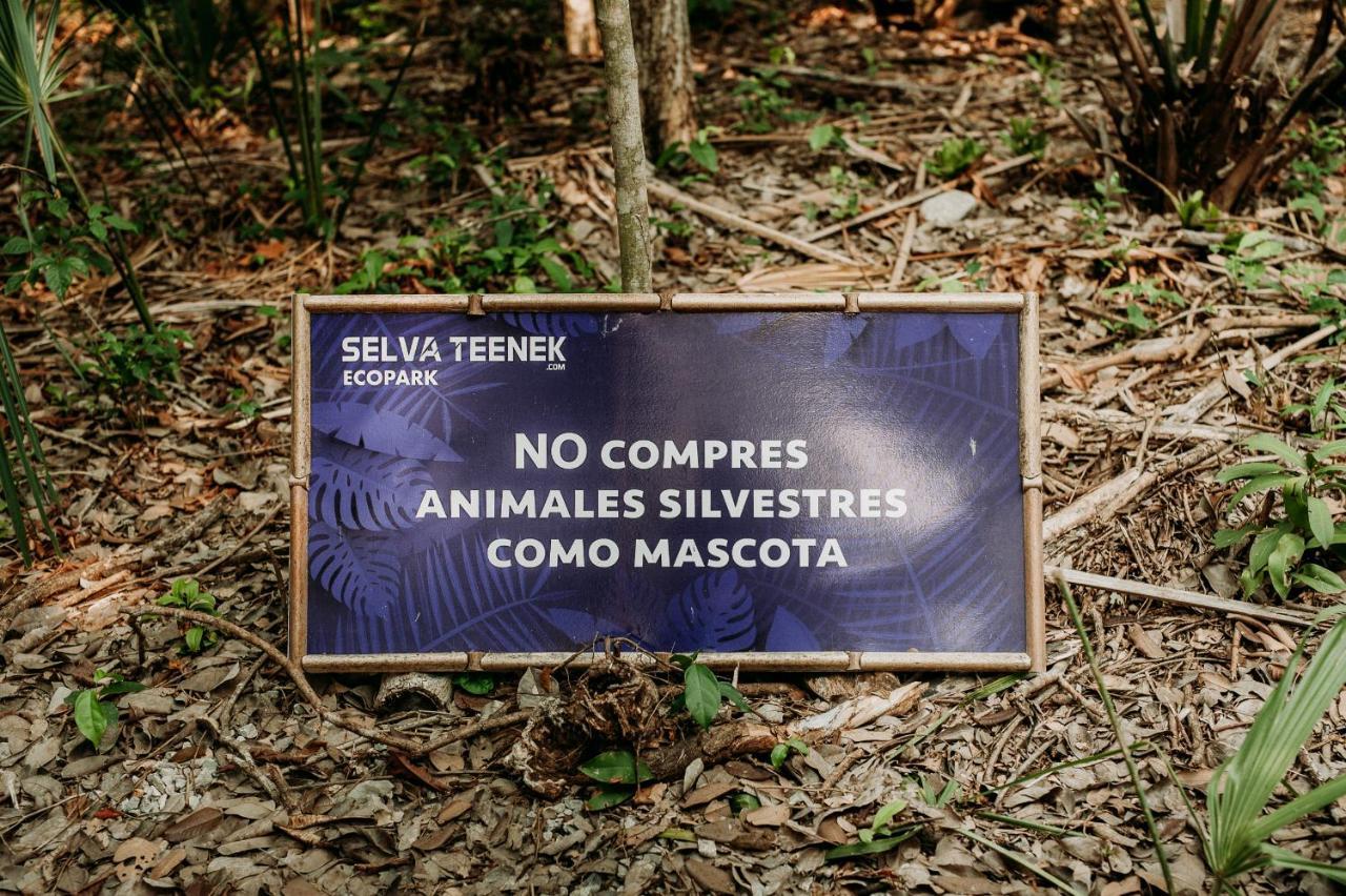 Selva Teenek Eco-Park Ciudad Valles Exterior foto