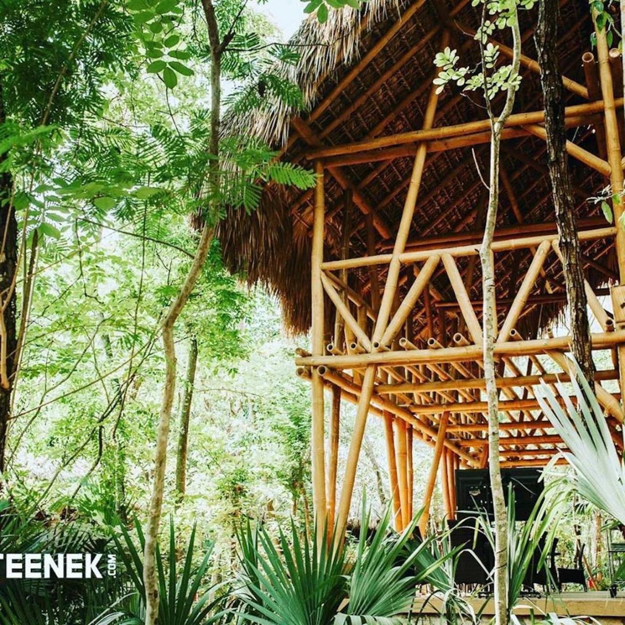 Selva Teenek Eco-Park Ciudad Valles Exterior foto